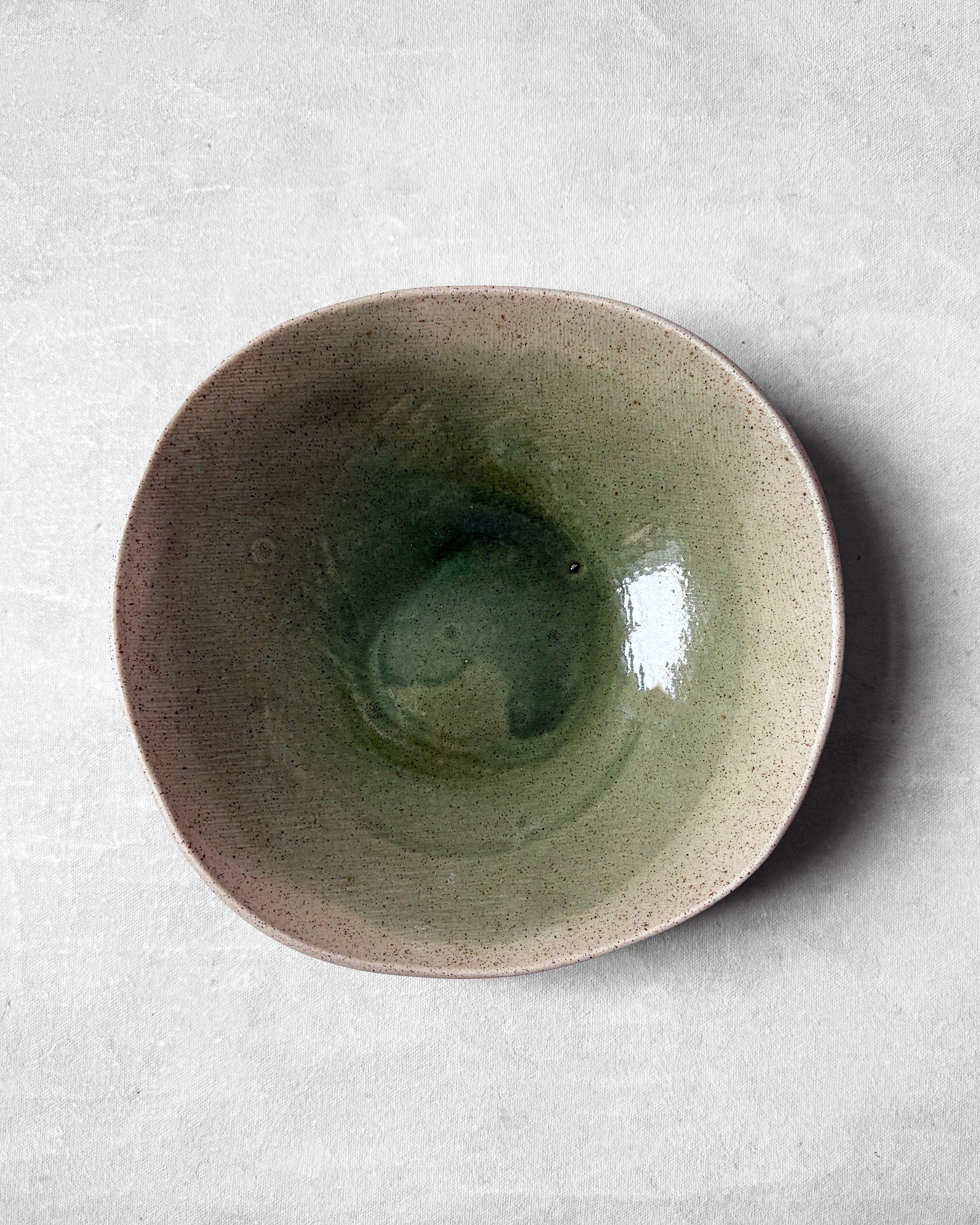 Pasta Bowl in Zen Garden