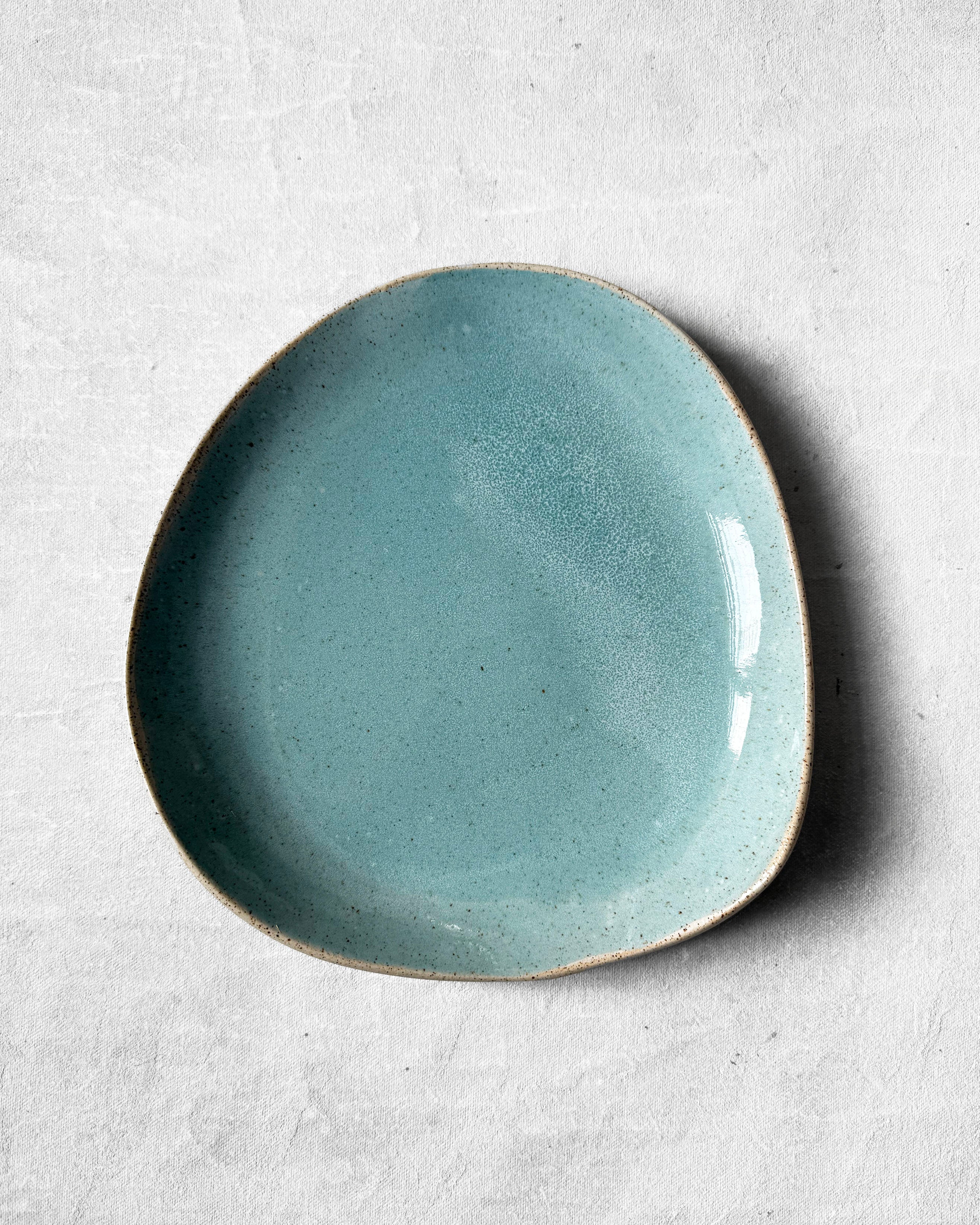Everyday Plate in Speckled Aqua