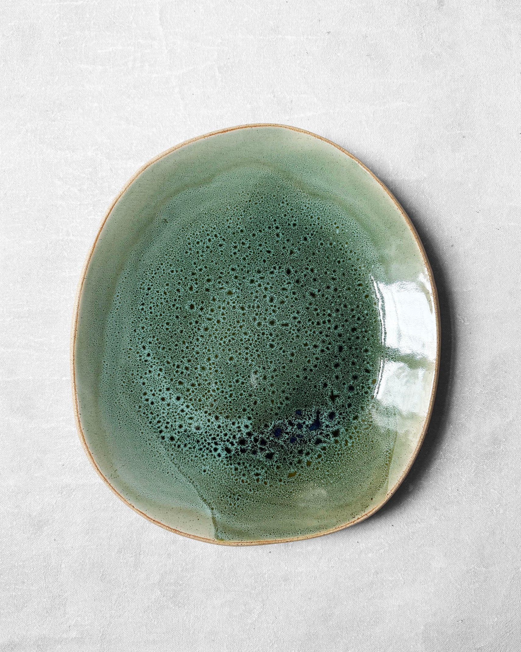 Dinner Plate in Speckled Verde