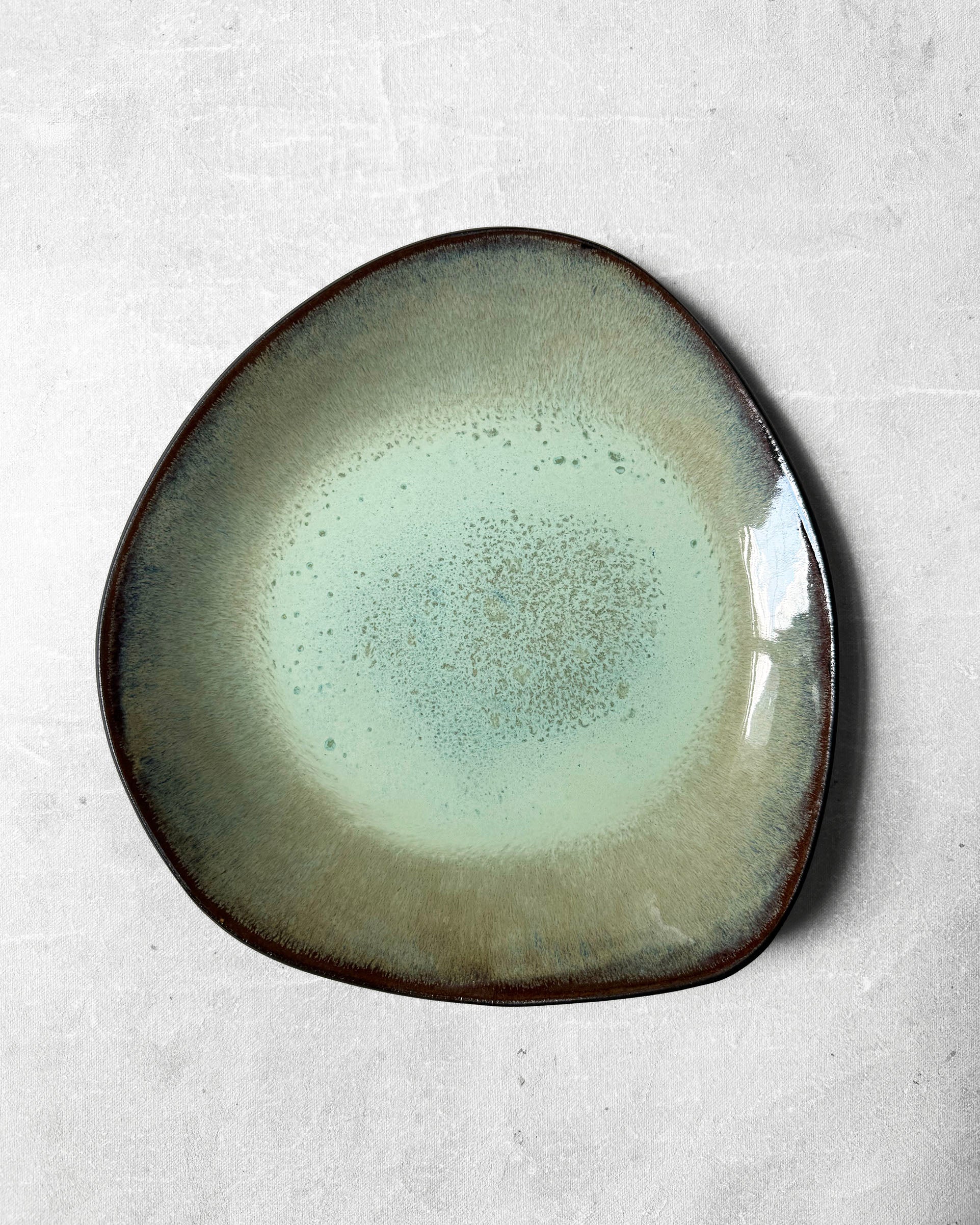 Dinner Plate in Fresh Aloe