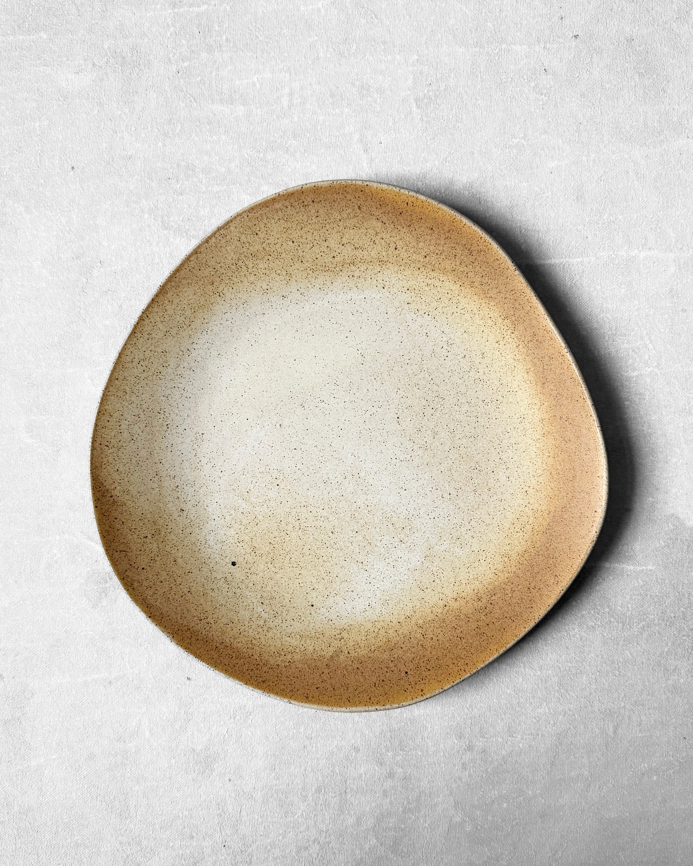 Everyday Plate in Speckled Beige