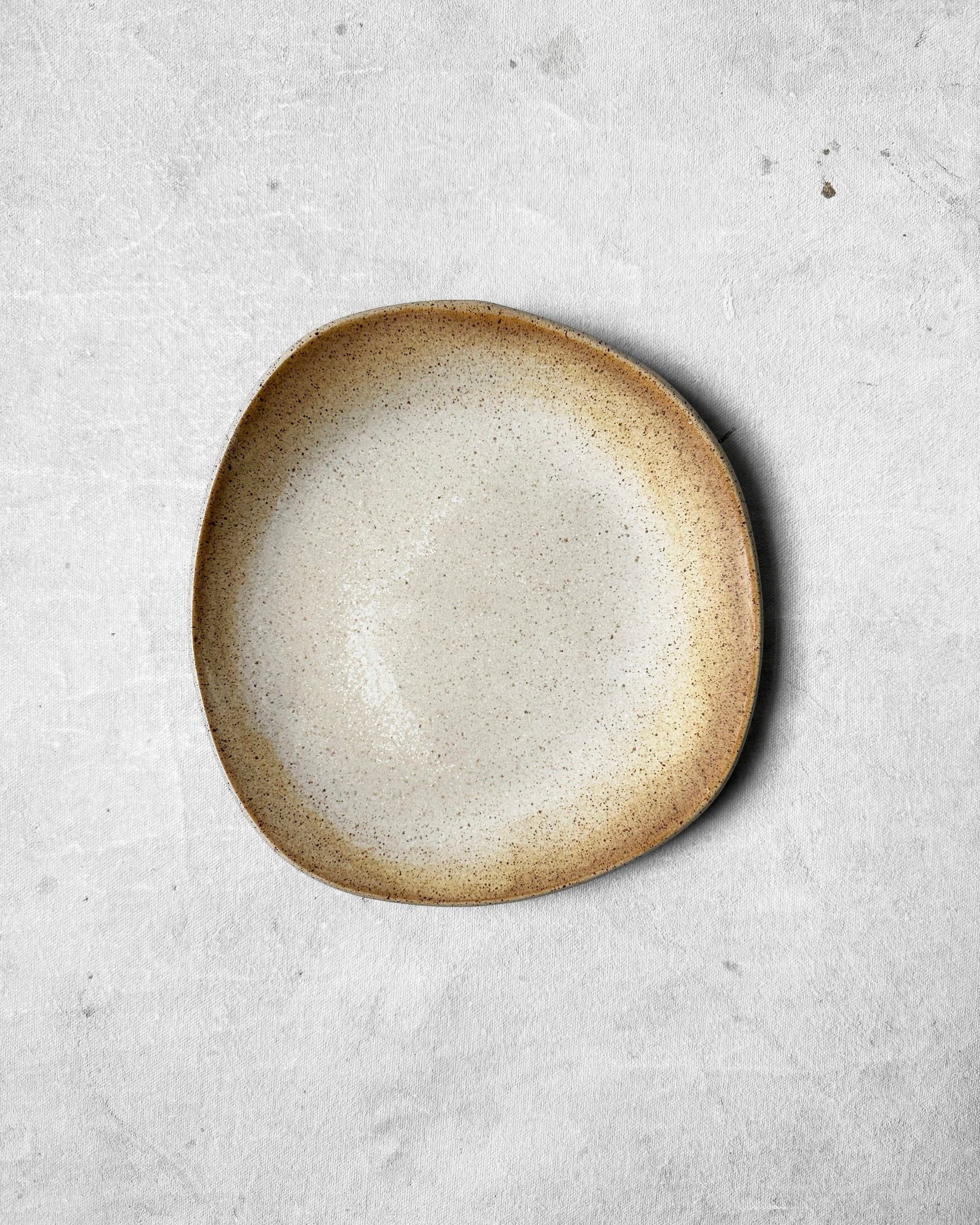 Everyday Plate in Speckled Beige