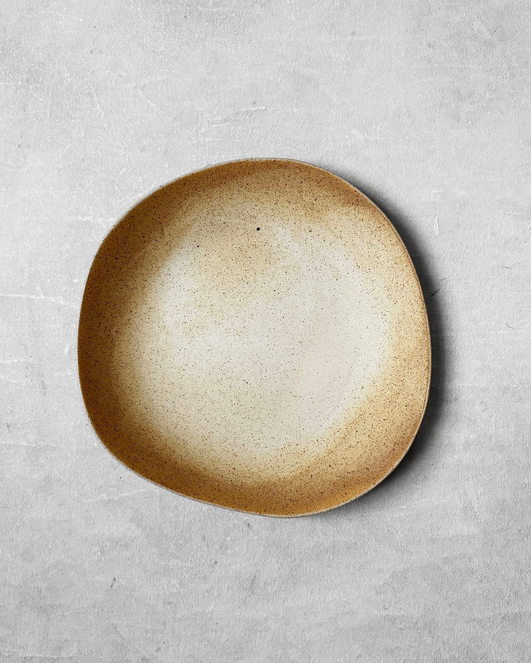 Everyday Plate in Speckled Latte