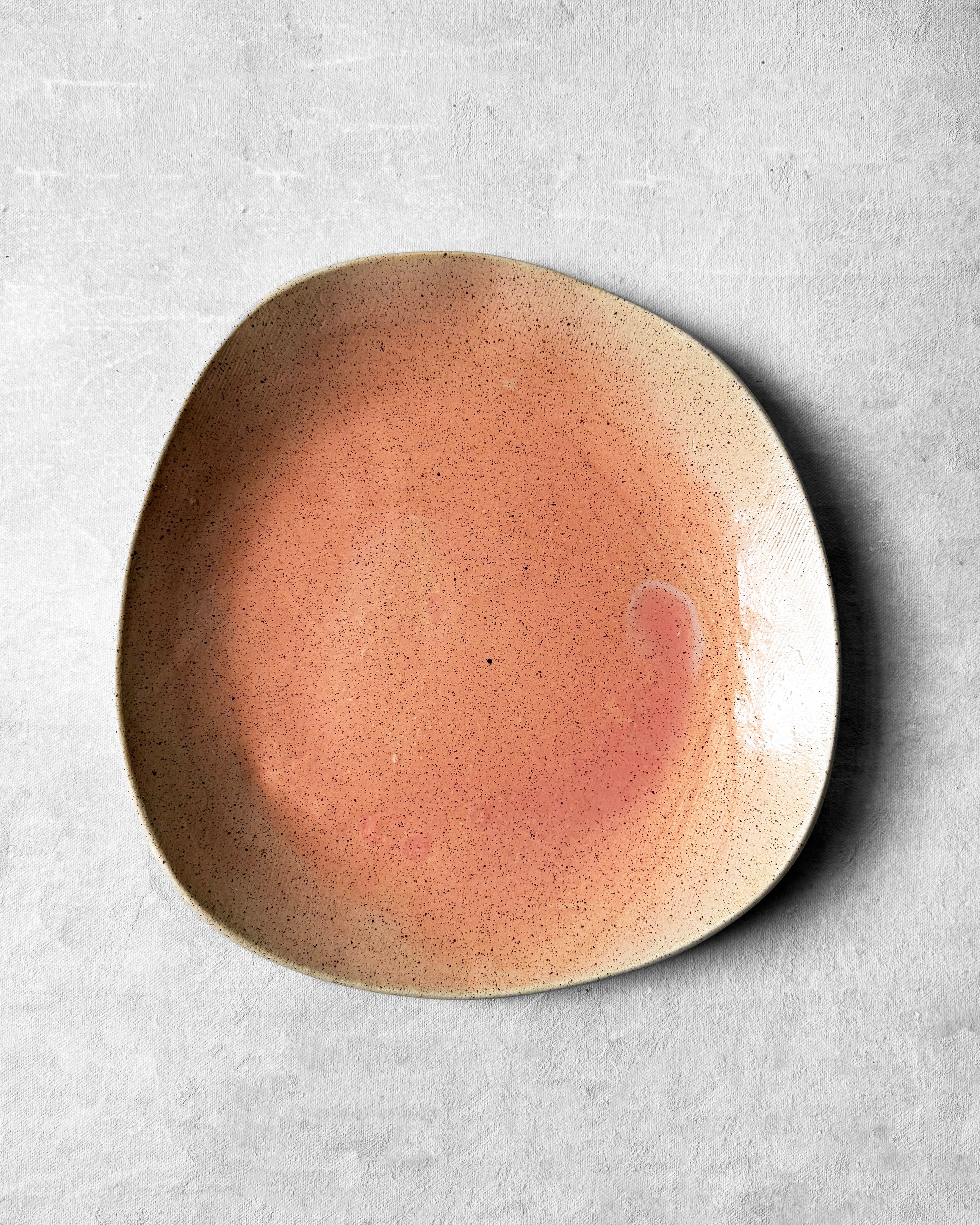 Dinner Plate in Misty Apricot