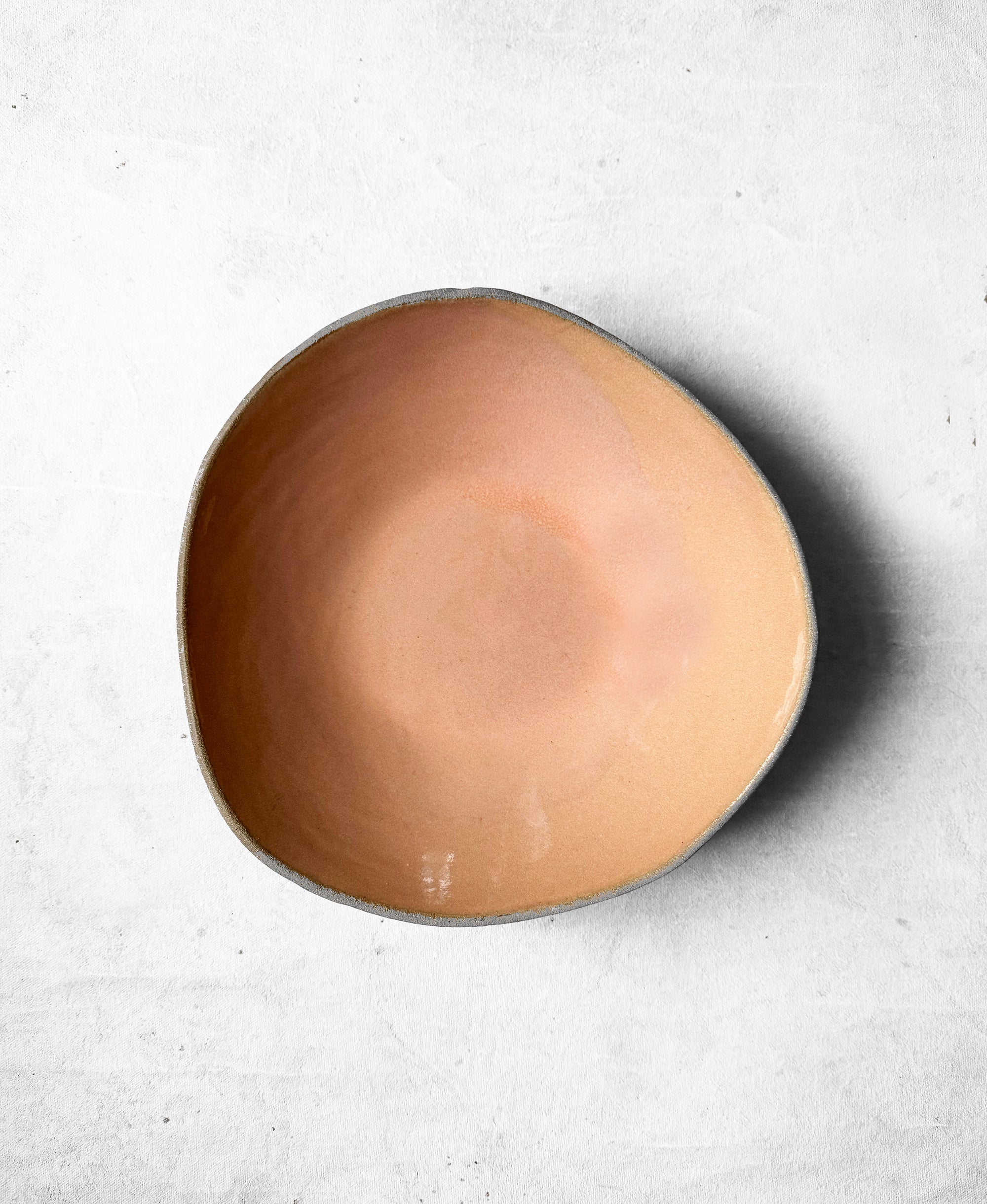 Pasta Bowl in Salmon