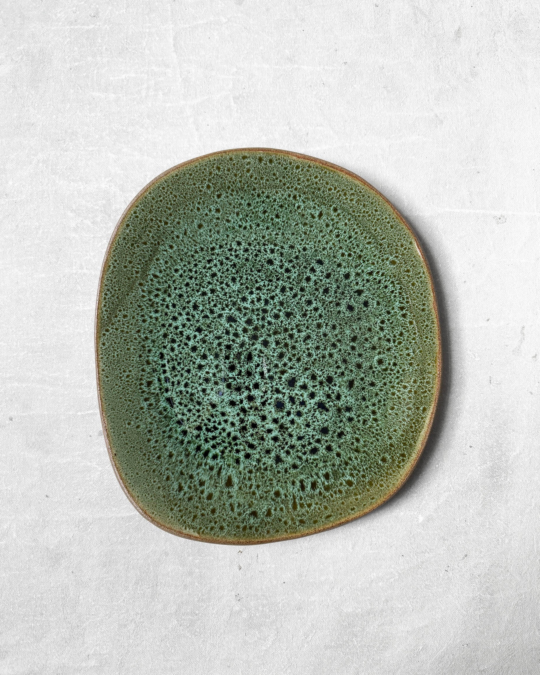 Dinner Plate in Speckled Verde