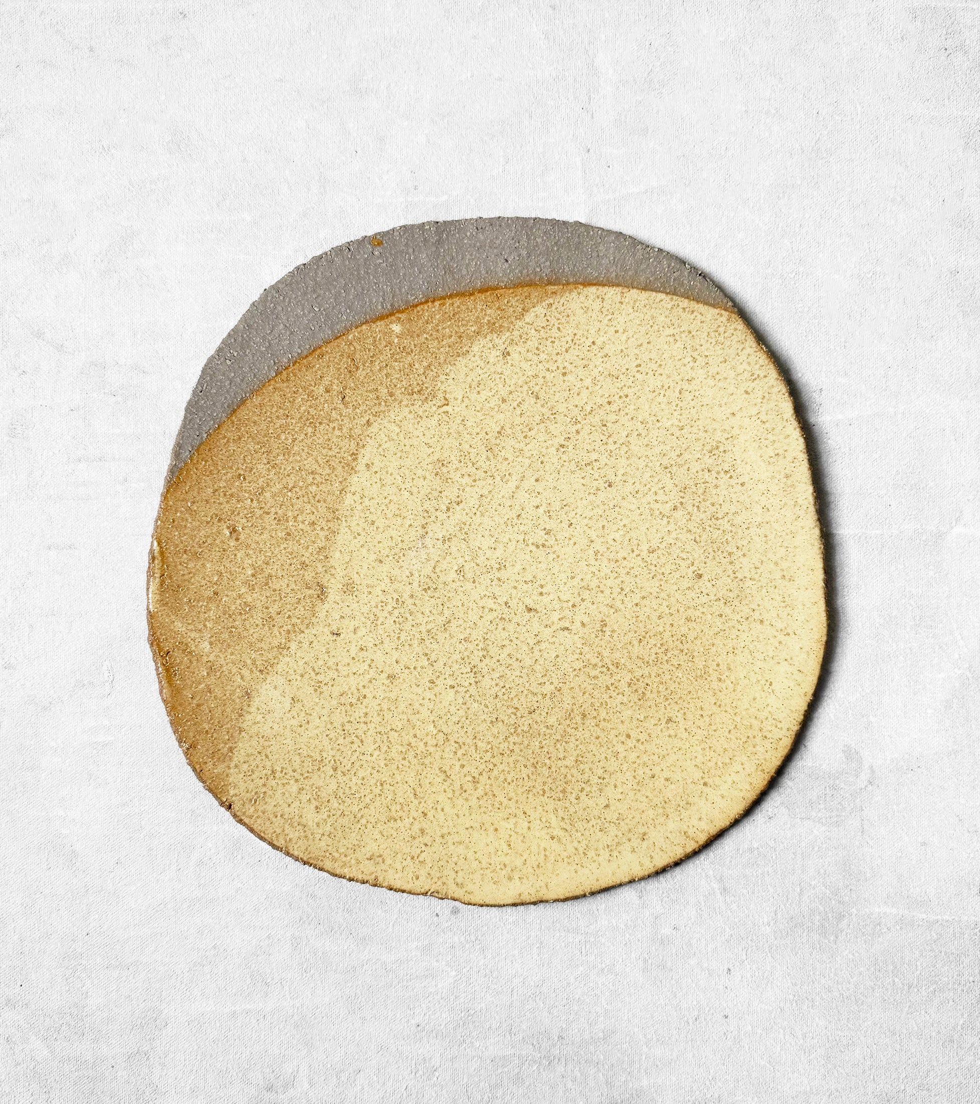Ceramic Diptych Painting