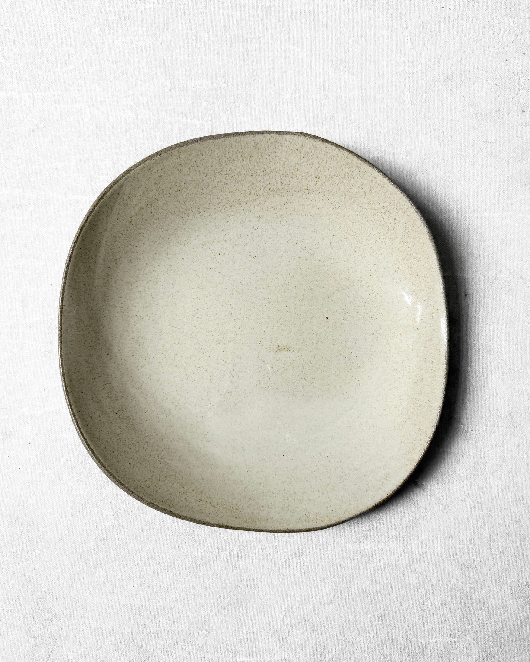Everyday Plate in Glossy Speckled Beige