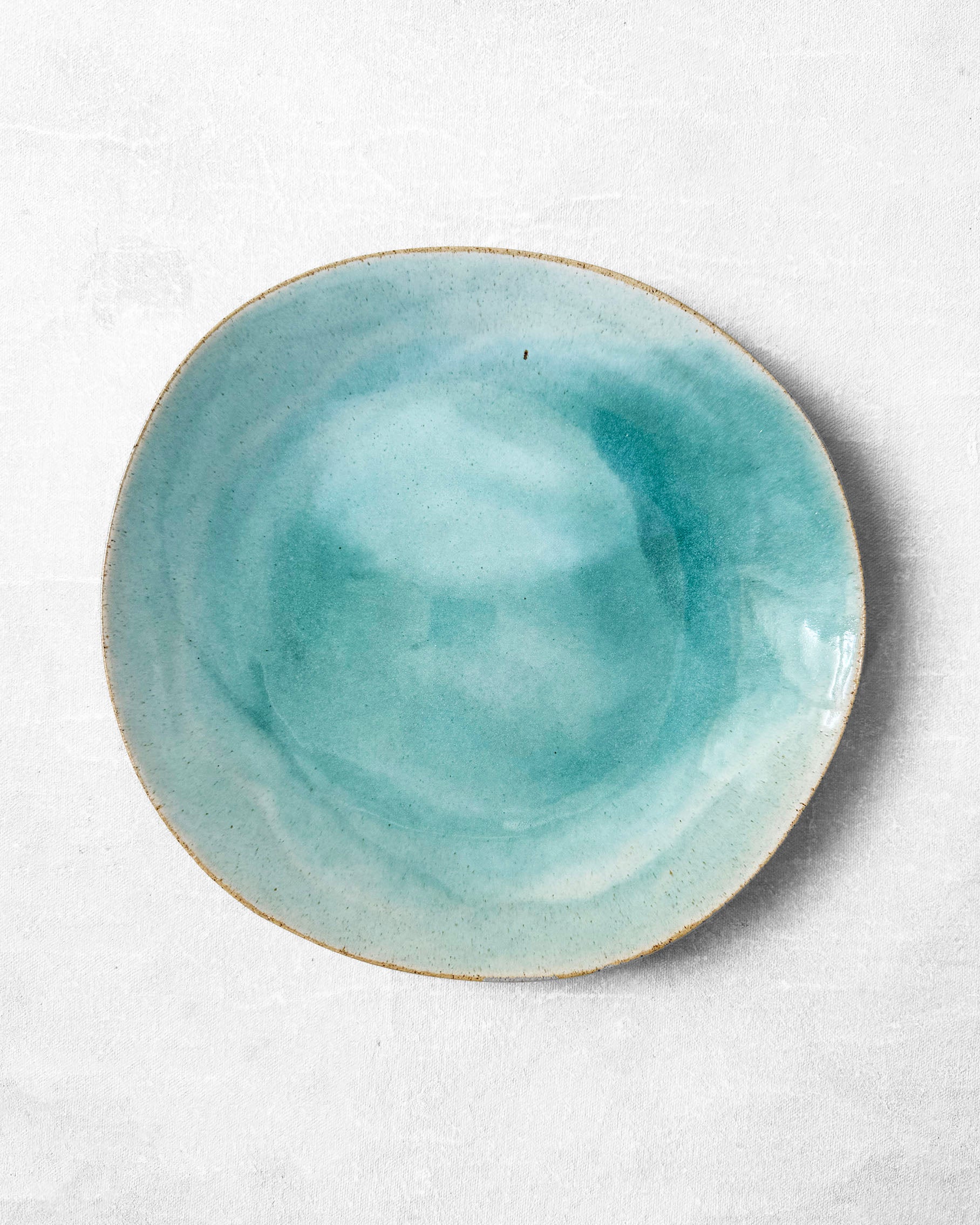 Everyday Plate in Lagoon