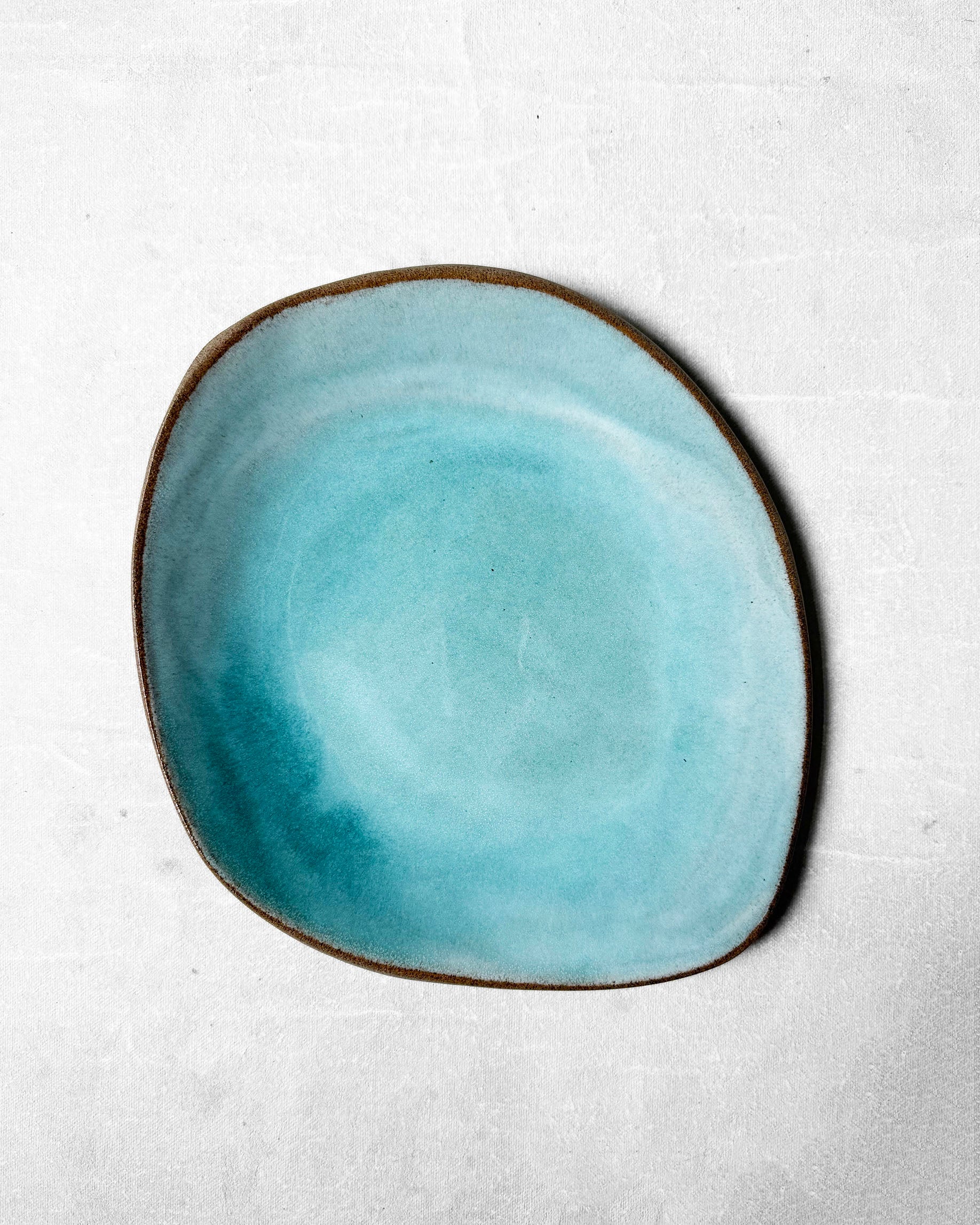 Everyday Plate in Lagoon